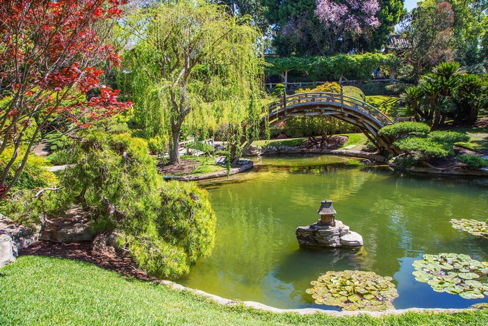 Japanese Garden with Pond and Arch Bridge in San Marino