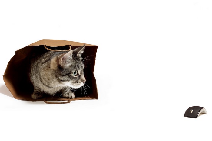 Cat in a paper bag with a computer mouse