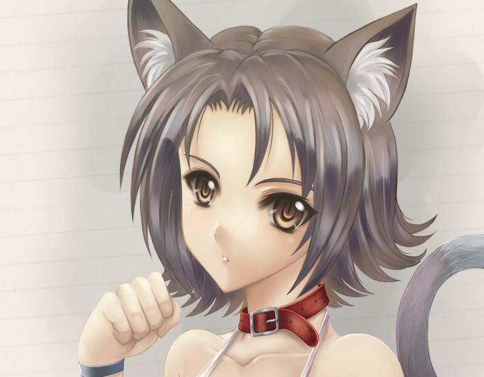 Anime girl with cat ears and tail
