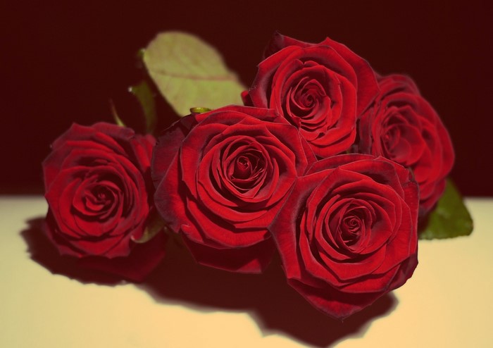 A bouquet of red roses