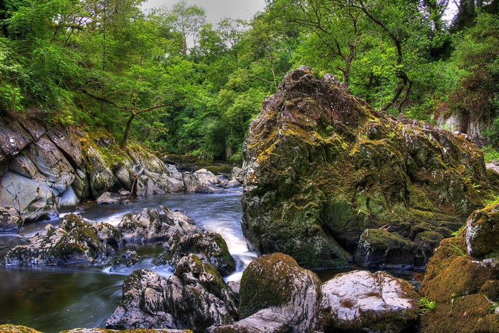 River flowing through a rocky forest in the United Kingdom