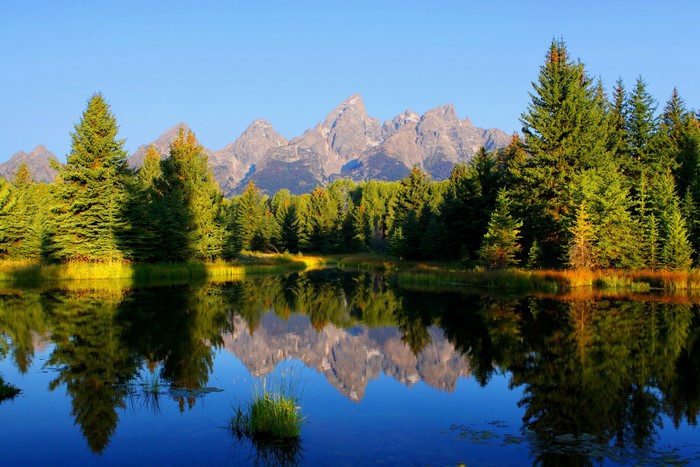 Grand Teton Mountains reflected in a lake with pine trees