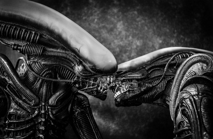 Two Xenomorph aliens face to face