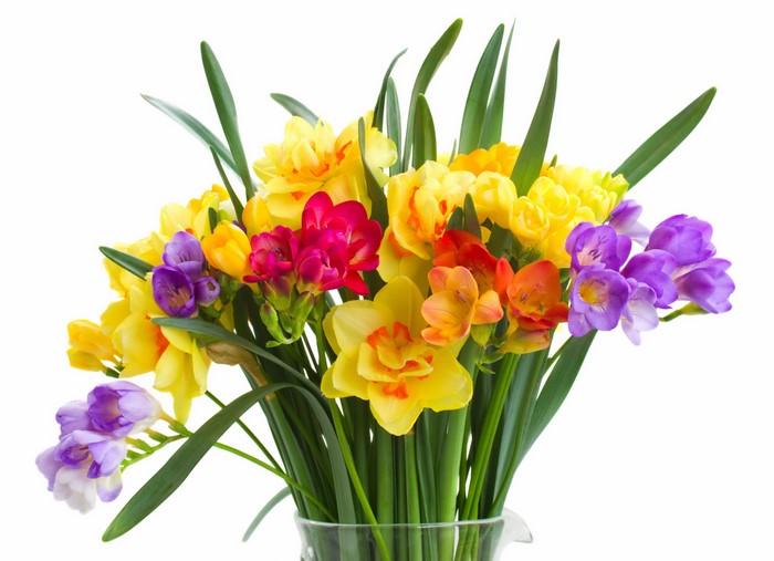 Bouquet of Daffodils and Freesias