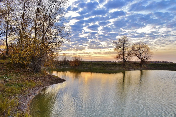 Autumn trees by a river at sunset in Russia