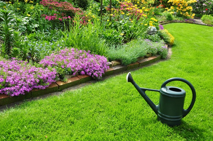 Garden with flowers and watering can