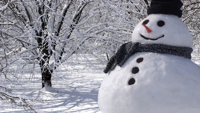 Snowman in a snowy forest