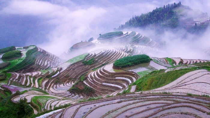 Terraced rice paddies in misty mountains