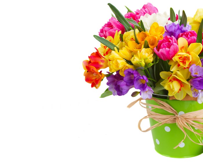 Colorful Spring Flowers in a Green Pot