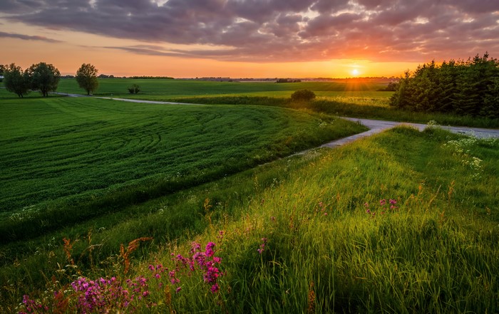 Sunset over green fields with a road