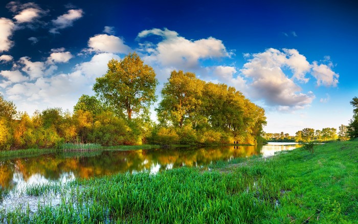 River and trees with blue sky and clouds