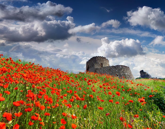 Field of Poppies with Ancient Ruins