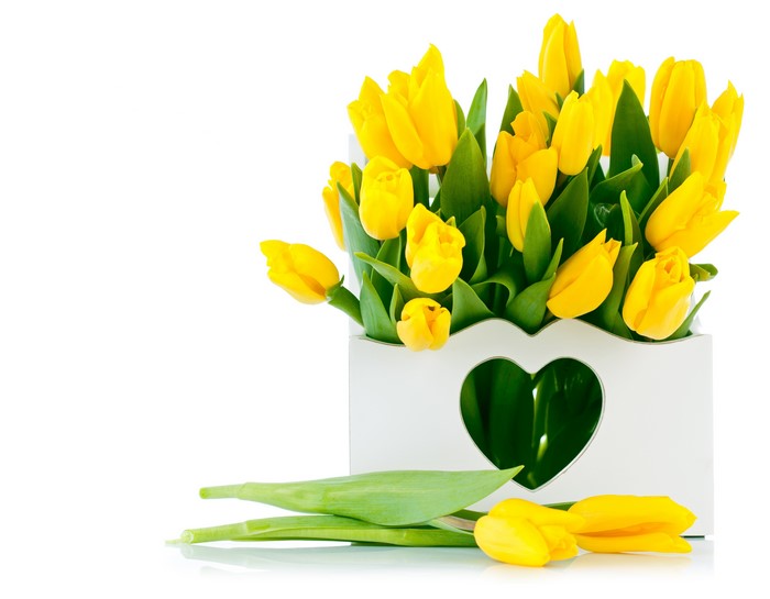Yellow Tulips in a Heart-Shaped Vase