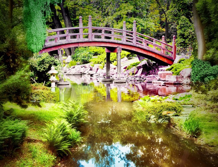 Japanese garden with a red bridge over a pond