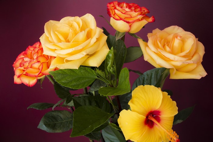Yellow and Orange Roses with Hibiscus
