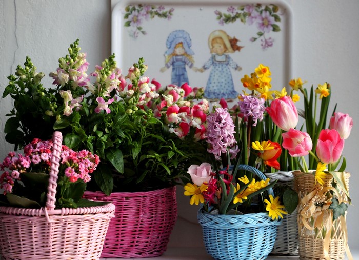 Assortment of Spring Flowers in Wicker Baskets
