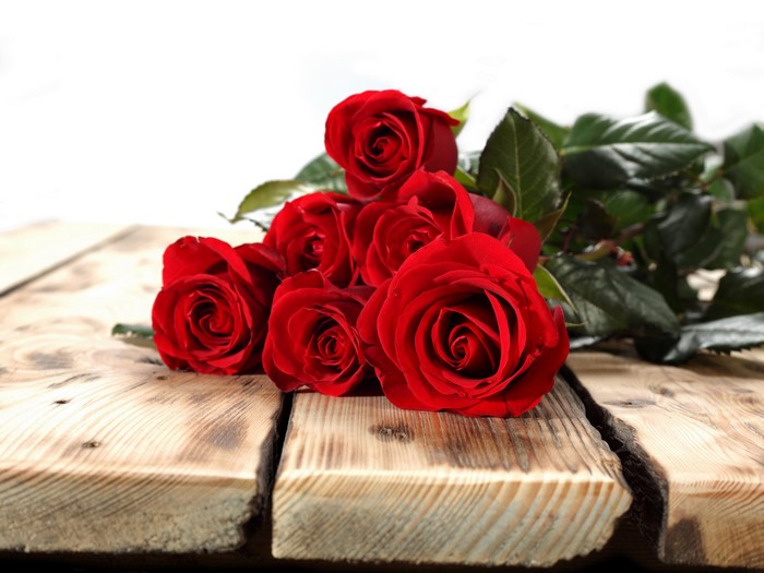 Red Roses on Wood Planks