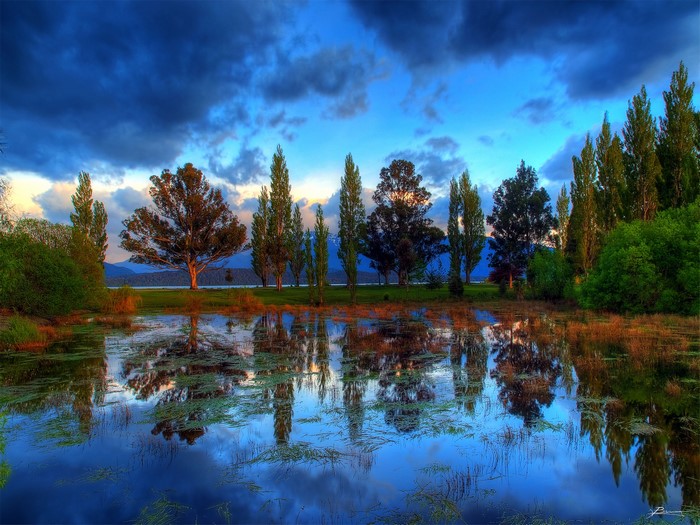 Lake with trees and reflections in New Zealand