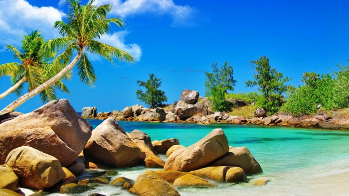 Tropical beach with palm trees and rocks