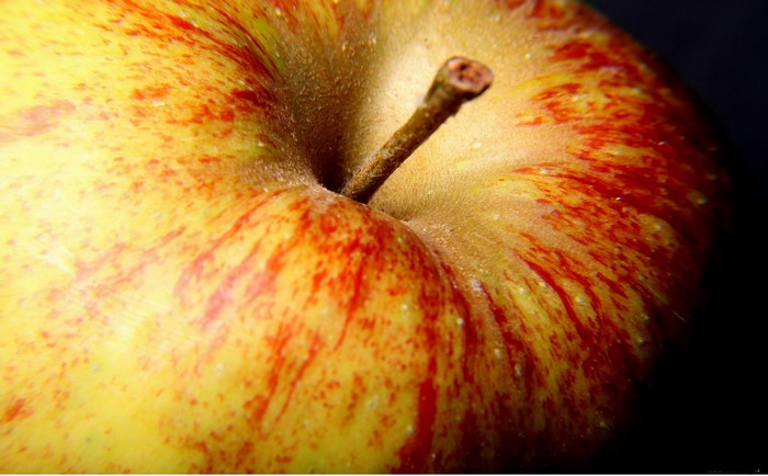 Close-up of a red and yellow apple with a stem