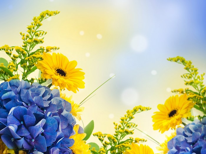 Hydrangea and Gerbera flowers with Silver wattle