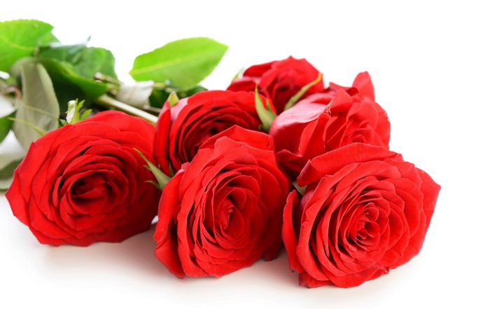 Bouquet of Red Roses