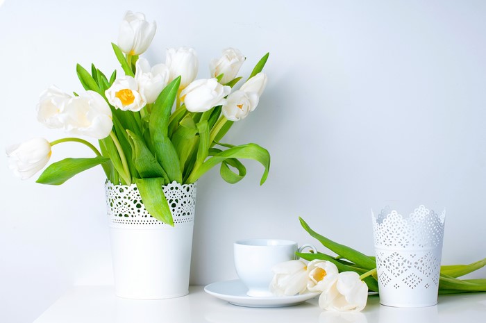 White Tulips in a Vase with Cup