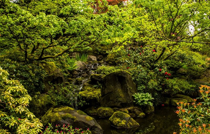 Portland Japanese Gardens with stream and mossy stones