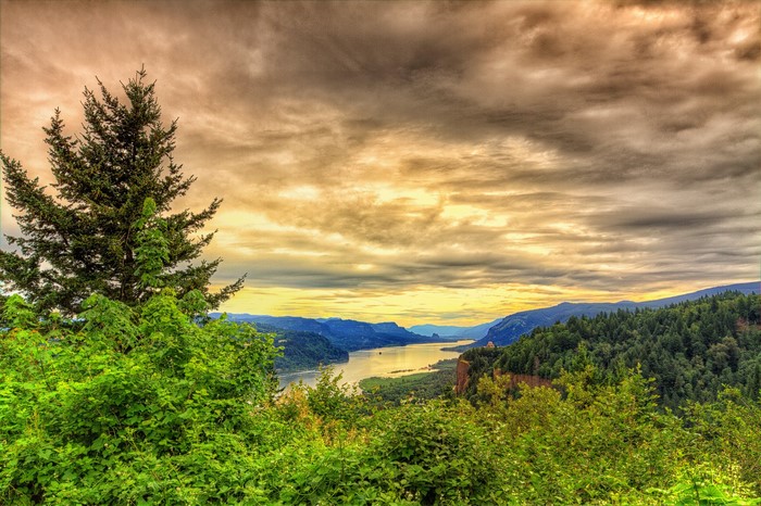 Columbia River Gorge Scenery with River and Sky