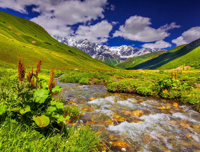 Mountain Valley Stream with Snow-Capped Peaks