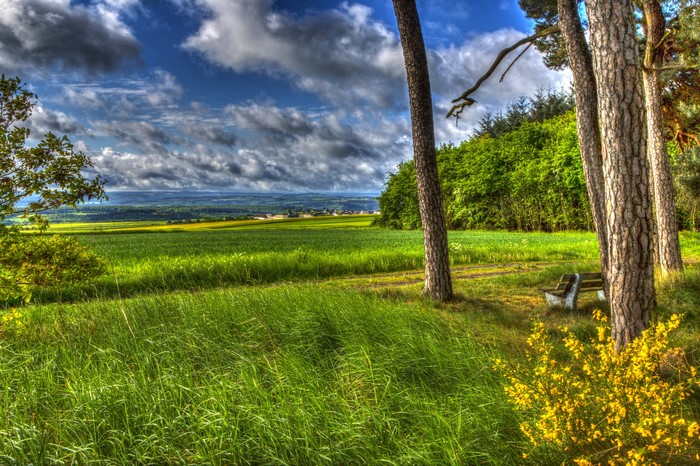 Scenic landscape with fields and trees in Germany