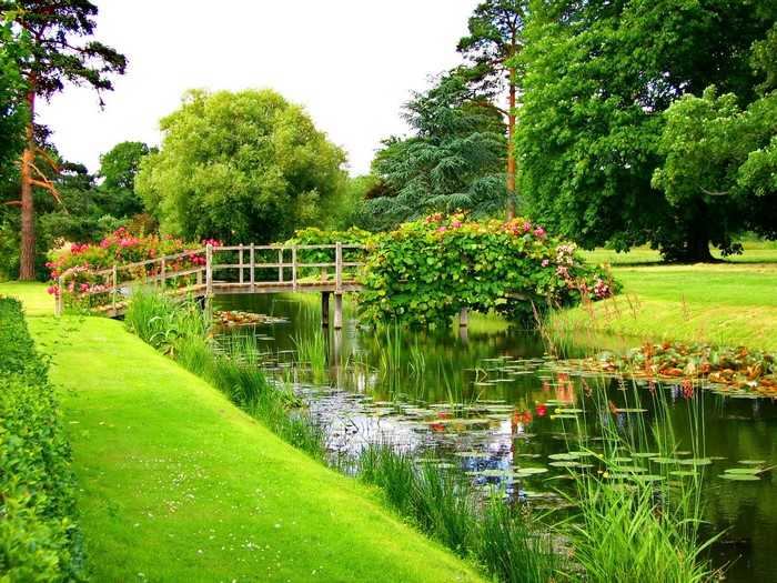 Wooden bridge over a pond in a park with roses