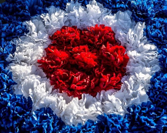 Carnations in red, white, and blue