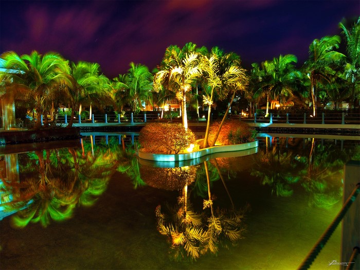 Palm trees reflected in a pond at night in Las Morlas, Cuba