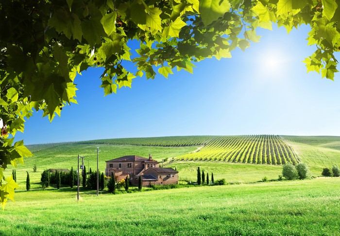 Tuscan Villa surrounded by rolling green hills and vineyards