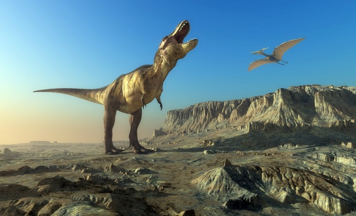Tyrannosaurus Rex and Pterodactyl in a prehistoric landscape