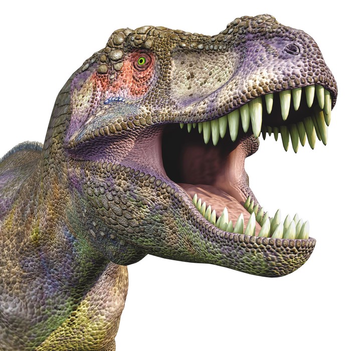 Tyrannosaurus Rex Dinosaur Head