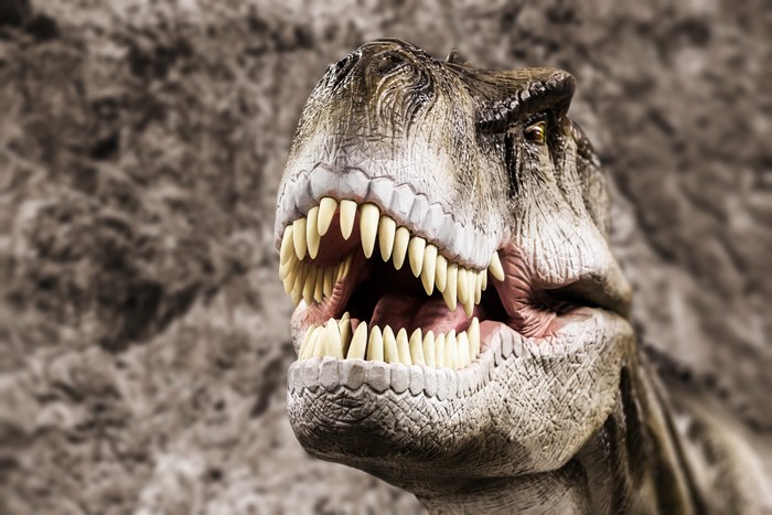 Tyrannosaurus Rex Dinosaur Head with Sharp Teeth