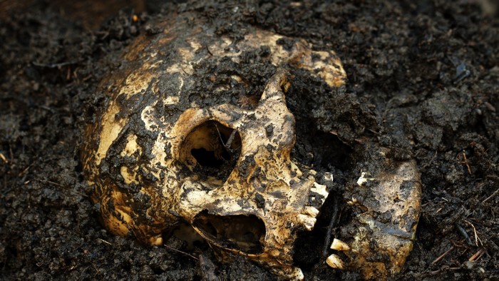 A human skull partially buried in dark soil