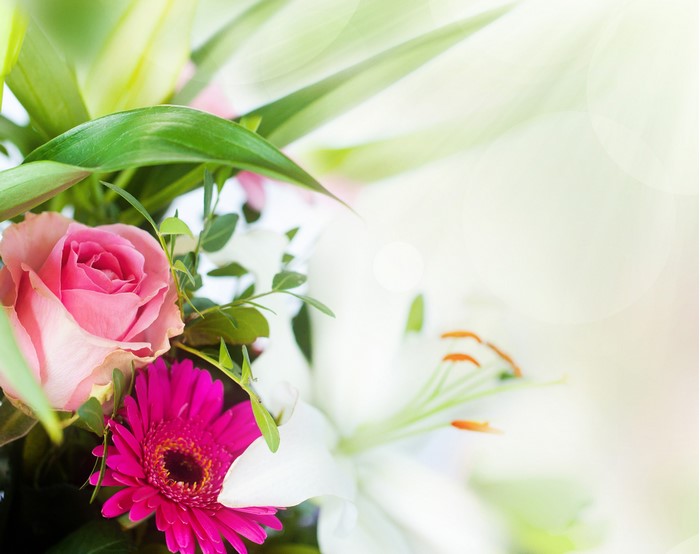 Pink Rose, Pink Gerbera, and White Lilies Bouquet