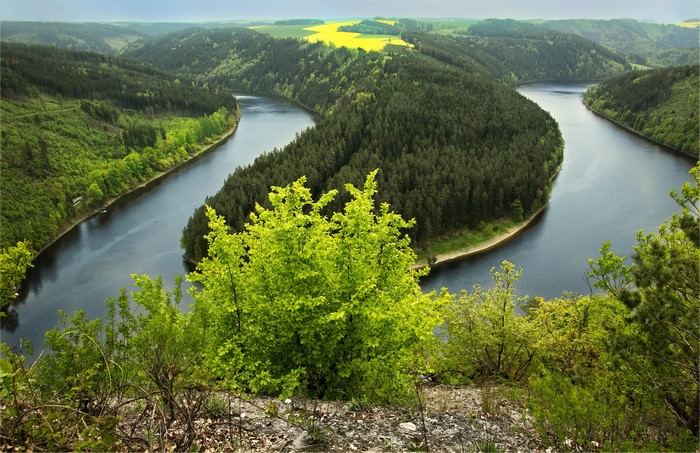 River bend through forested hills with yellow fields
