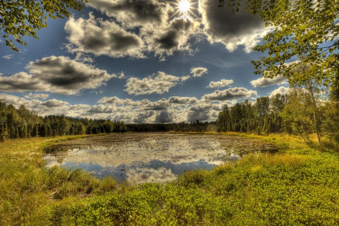 Lake surrounded by trees under a cloudy sky