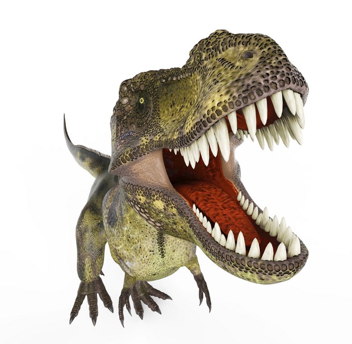 Tyrannosaurus Rex Dinosaur