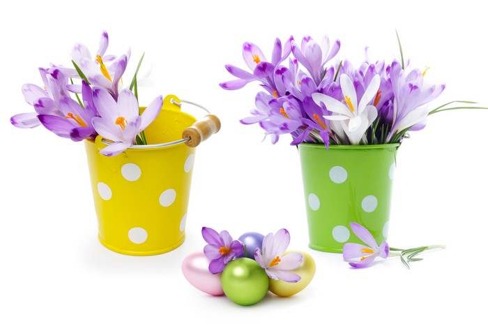 Crocuses and Easter Eggs in Polka Dot Buckets