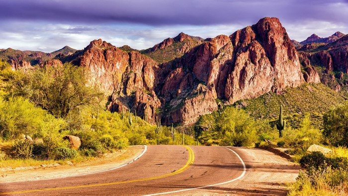 Road through Arizona mountains with saguaro cacti