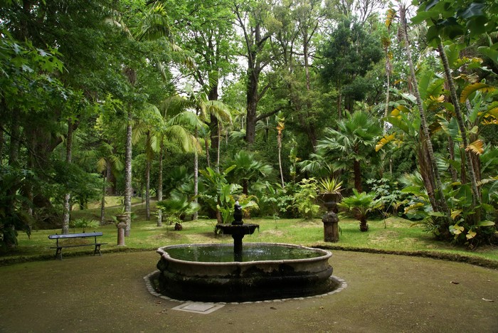 Fountain and bench in a lush park with palm trees