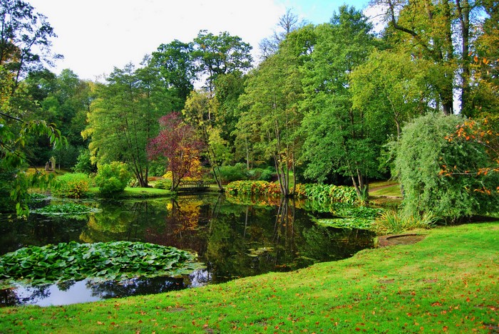 Pond with lily pads and trees in Cholmondeley, England