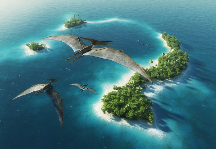 Pteranodons flying over tropical islands
