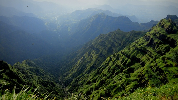 Green mountains and valleys with birds flying