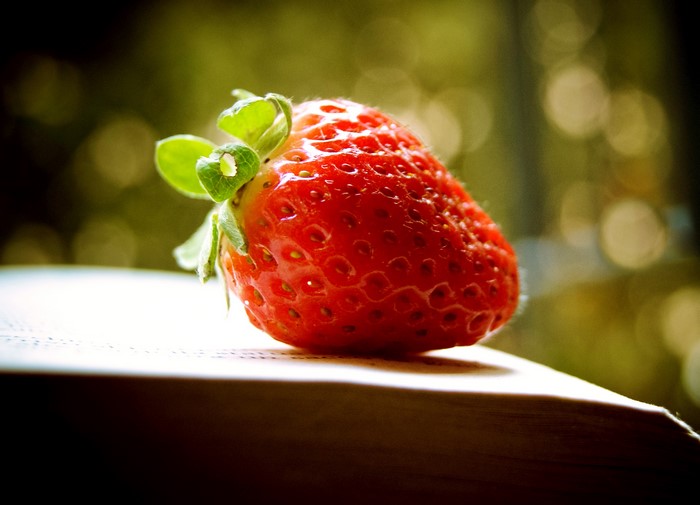 Close-up of a single red strawberry